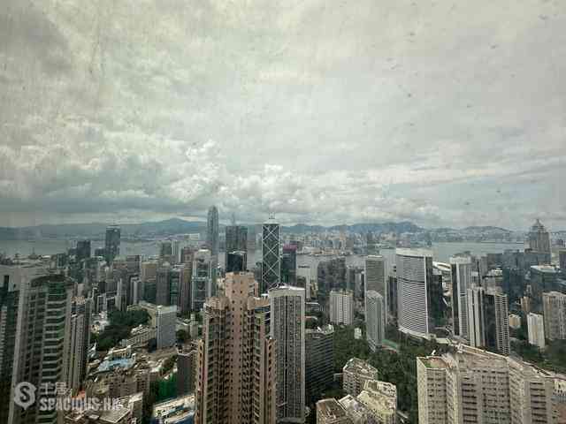 中半山 - 港景別墅 14