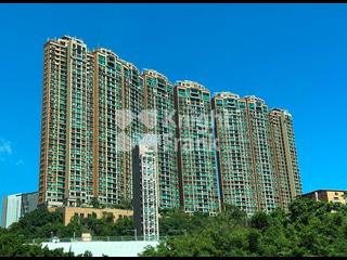 Leighton Hill - The Leighton Hill 15