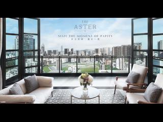 Happy Valley - The Aster (Resiglow) 05