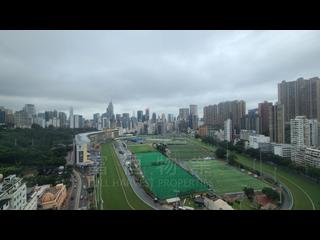 Happy Valley - Fortuna Court 04