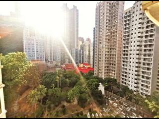 Happy Valley - Sherwood Court 02