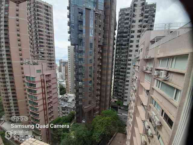 Mid Levels West - Greenview Gardens 12