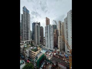 Sai Ying Pun - Macro Garden 06