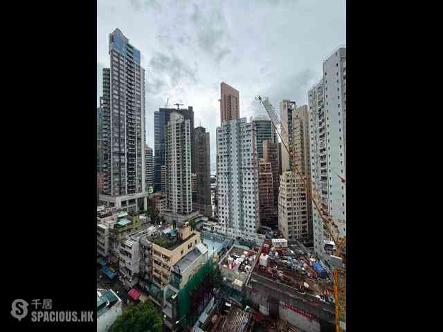 Sai Ying Pun - Macro Garden 06