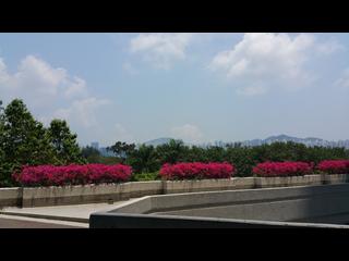 太古城 - 太古城 海景花園(東) 雅蓮閣 (41座) 08