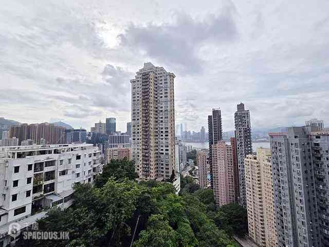 Tai Hang - The Elegance 02