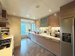 Mid Levels Central - Tregunter Tower 3 10