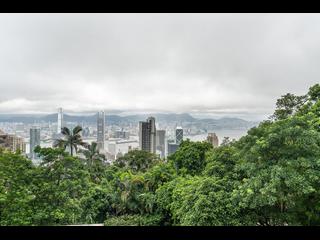 The Peak - Haking Mansions 02
