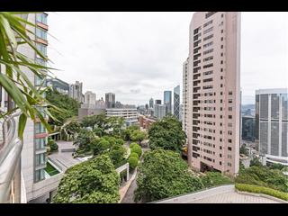 東半山 - 峰景花園 05