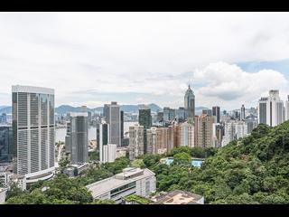 東半山 - 峰景花園 08