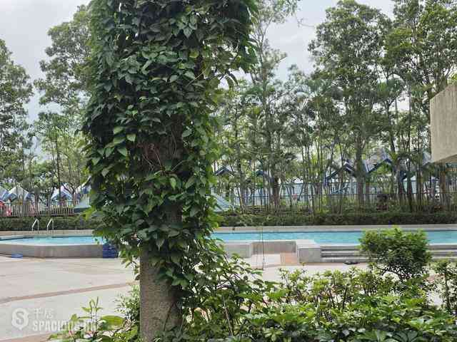 太古城 - 太古城 海景花園(東) 雅蓮閣 (41座) 09
