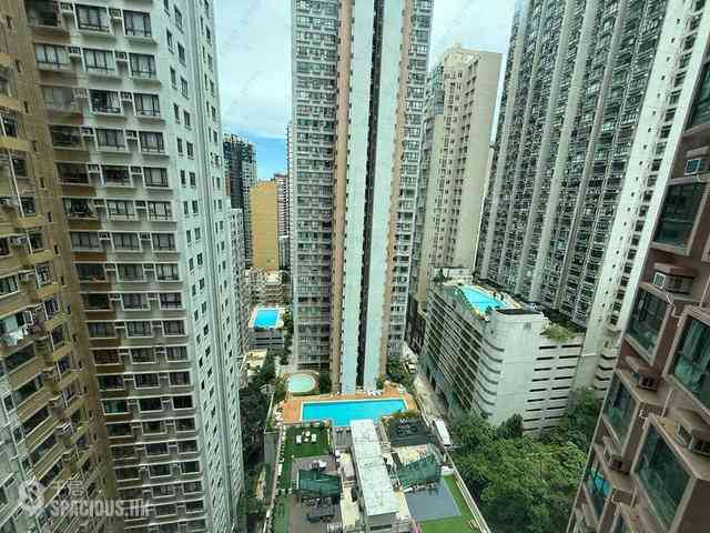 中半山 - 殷桦花园2期 10