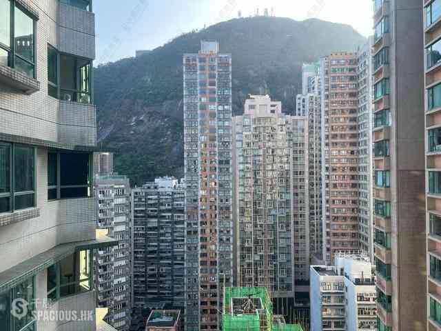 中半山 - 高云台 07