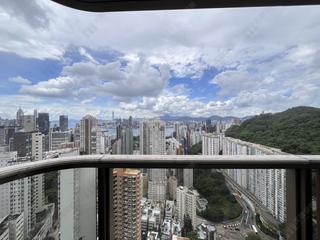 大坑 - 春晖8号 17