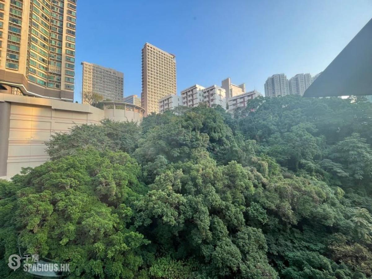 坚尼地城 - 海都楼C座 01