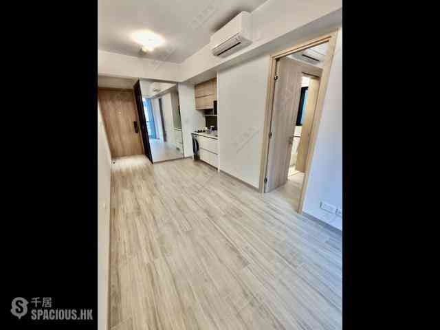Jordan - Arbour 06