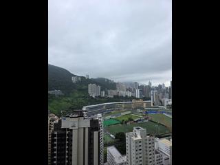 Happy Valley - Broadwood Twelve 03