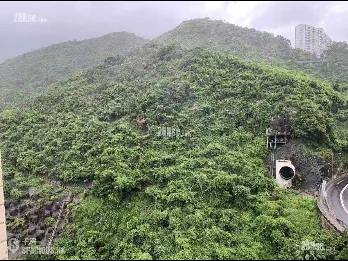 鲗鱼涌 - 君豪峰 01