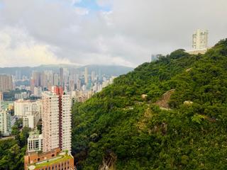 東半山 - 竹林苑74號 16
