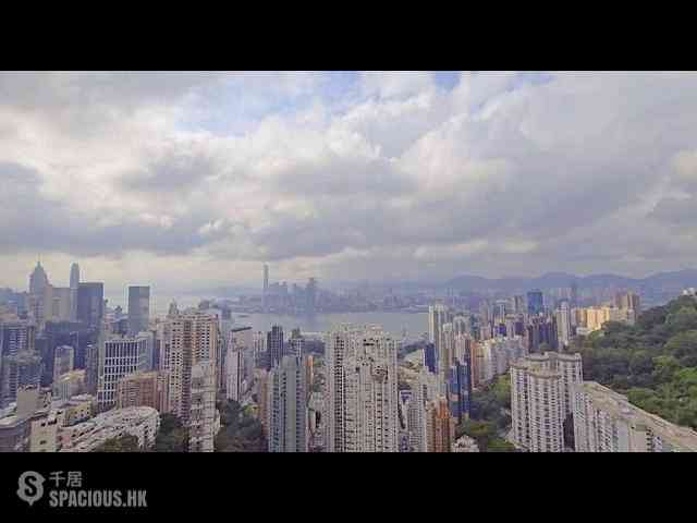 大坑 - 春晖8号 08