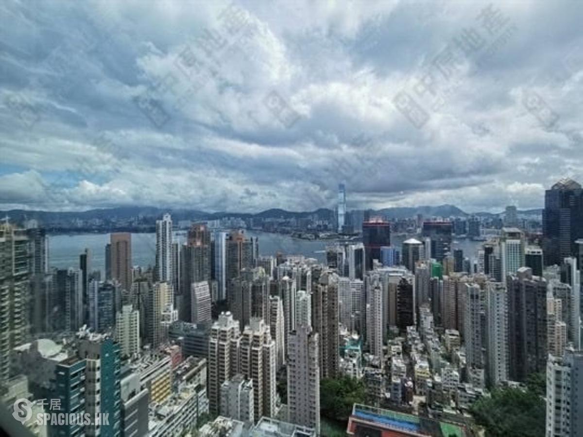 西半山 - 羅便臣道80號 01