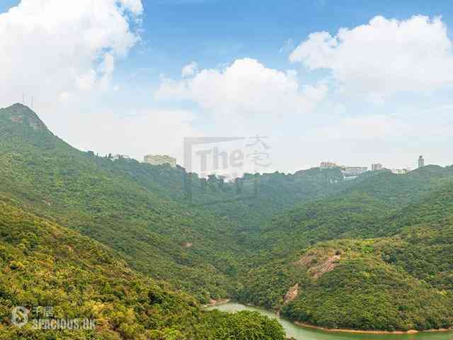Pok Fu Lam - Woodbury Court 04
