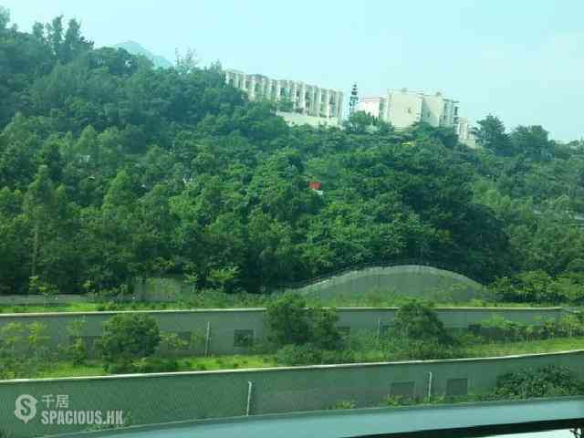 大围 - 名城 13
