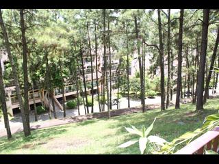 Discovery Bay - Discovery Bay Phase 1 Beach Village Seabird Lane 17