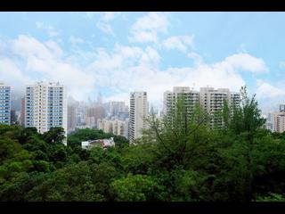 Jardines Lookout - 111, Mount Butler Road 10
