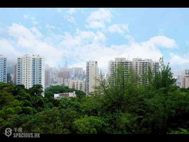 Jardines Lookout - 111, Mount Butler Road 10