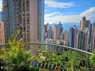 Mid Levels West - Villa Veneto 19