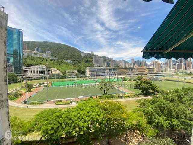 Happy Valley - Amigo Mansion 03