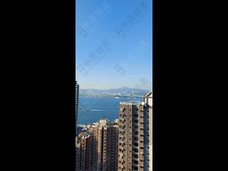 西营盘 - 63 Pokfulam 10