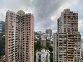 西半山 - 巴丙顿山 12