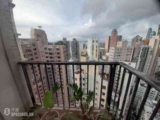 Sai Ying Pun - The Babington 07