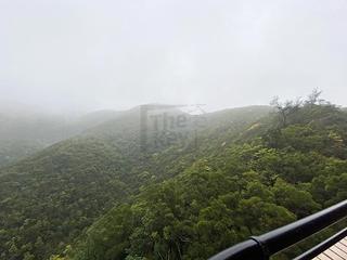 Tai Tam - Hong Kong Parkview 02