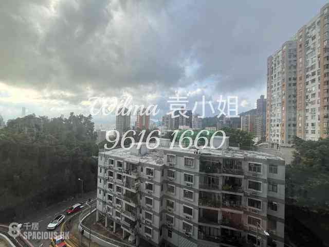 Tai Hang - Swiss Towers 02