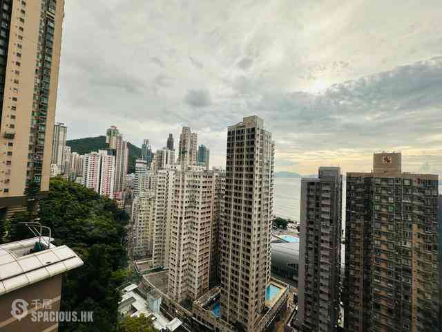 Shek Tong Tsui - The Belcher's 12
