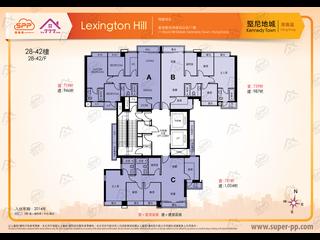 坚尼地城 - Lexington Hill 17