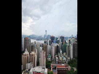 西半山 - 罗便臣道80号 06