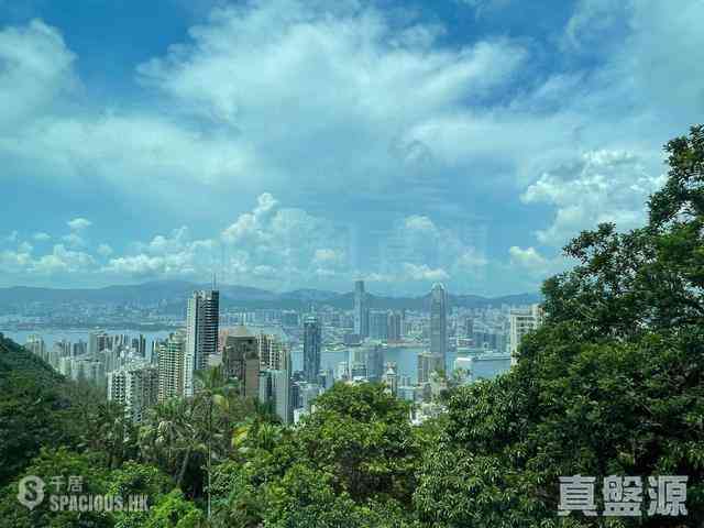 山顶 - Haking Mansions 01
