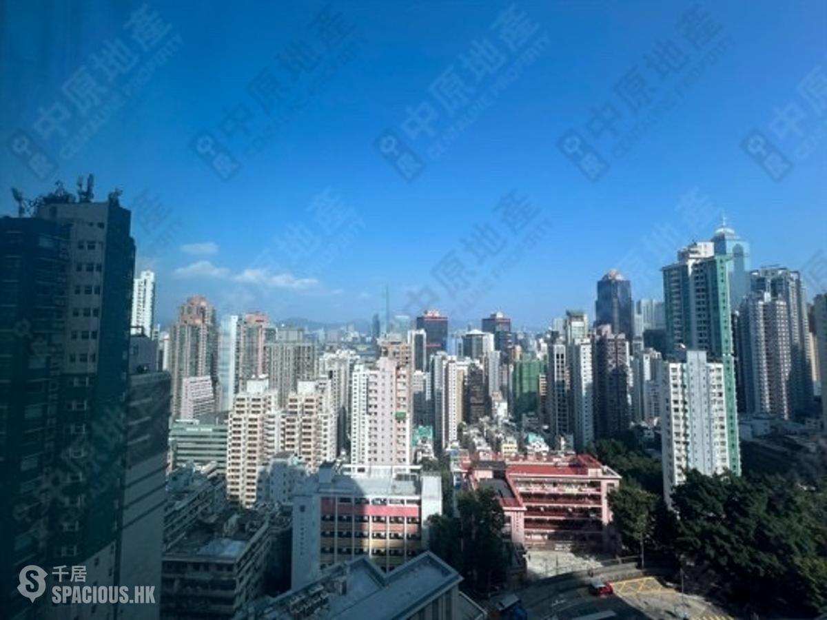 西半山 - 罗便臣道80号 01