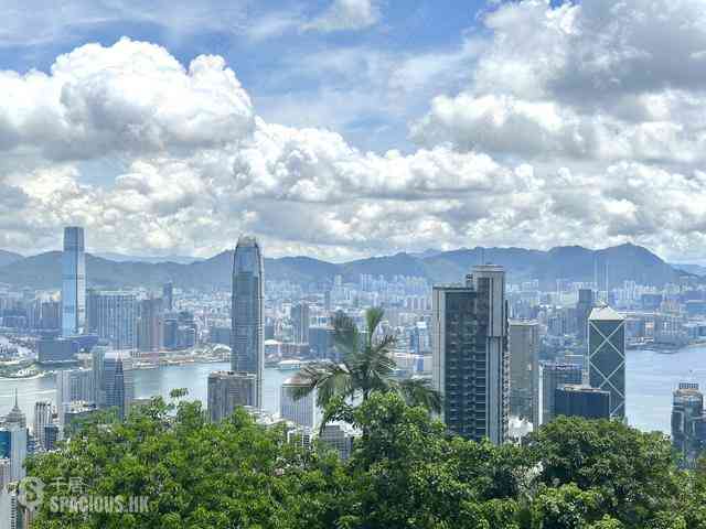 The Peak - Haking Mansions 07