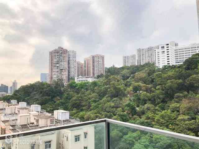 North Point - Lime Habitat 02