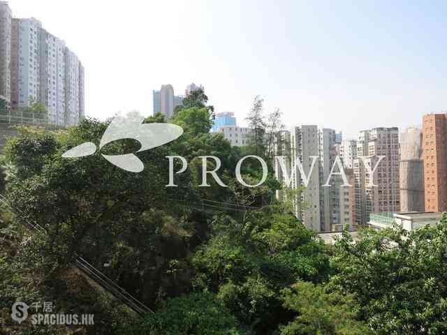 North Point - Lime Habitat 02