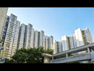 North Point - City Garden 03