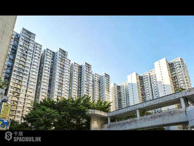 North Point - City Garden 03