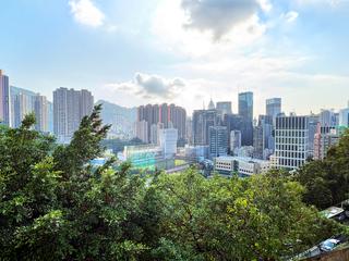 Tai Hang - 5, Wang Fung Terrace 25