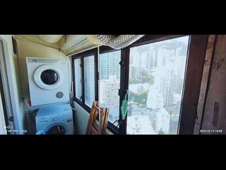 中半山 - 寶樺臺 13