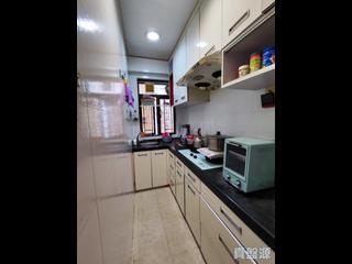 Sai Ying Pun - True Light Building 06